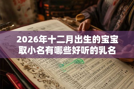 2026年十二月出生的宝宝取小名有哪些好听的乳名