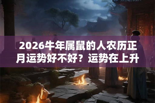 2026牛年属鼠的人农历正月运势好不好？运势在上升