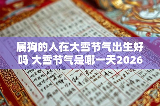 属狗的人在大雪节气出生好吗 大雪节气是哪一天2026 属狗的人在大雪节气出生好吗 大雪节气是哪一天2026
