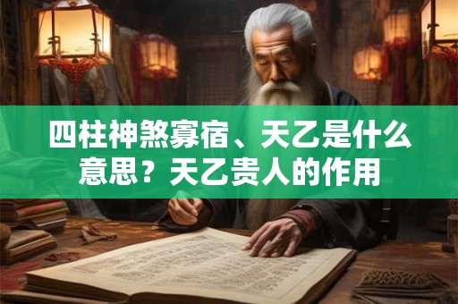 四柱神煞寡宿、天乙是什么意思？天乙贵人的作用