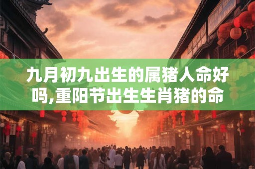 九月初九出生的属猪人命好吗,重阳节出生生肖猪的命运解析 九月初九出生的属猪人命好吗,重阳节出生生肖猪的命运解析