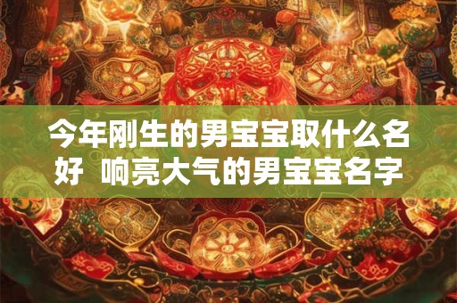 今年刚生的男宝宝取什么名好 响亮大气的男宝宝名字 今年刚生的男宝宝取什么名好 响亮大气的男宝宝名字