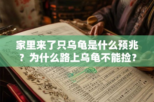 家里来了只乌龟是什么预兆？为什么路上乌龟不能捡？