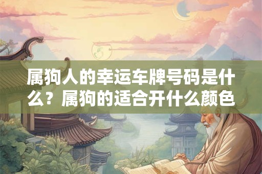 属狗人的幸运车牌号码是什么？属狗的适合开什么颜色的车
