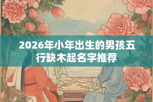 2026年小年出生的男孩五行缺木起名字推荐