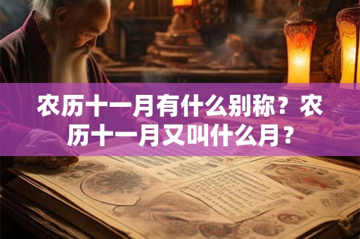 农历十一月有什么别称？农历十一月又叫什么月？