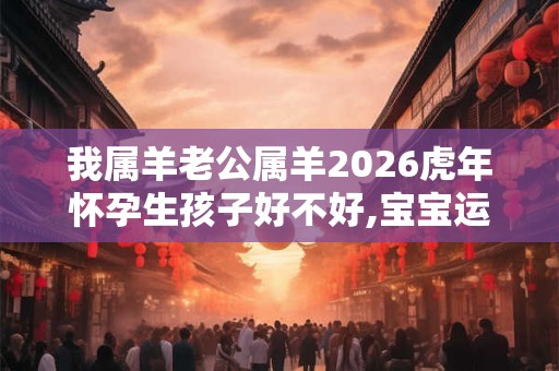 我属羊老公属羊2026虎年怀孕生孩子好不好,宝宝运势好吗？