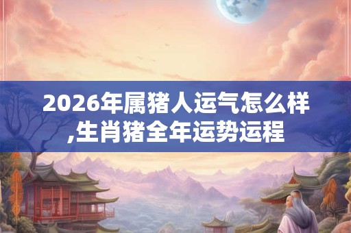 2026年属猪人运气怎么样,生肖猪全年运势运程