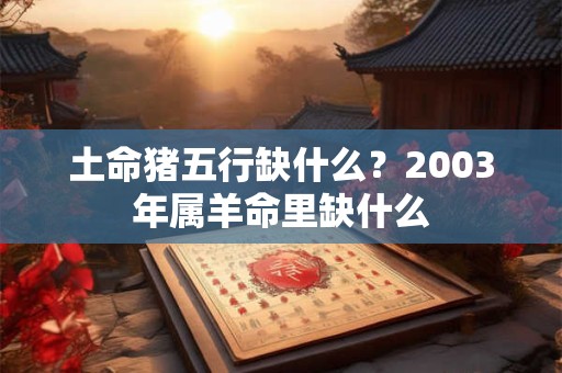 土命猪五行缺什么？2003年属羊命里缺什么