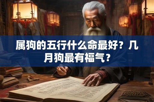 属狗的五行什么命最好？几月狗最有福气？