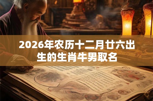 2026年农历十二月廿六出生的生肖牛男取名