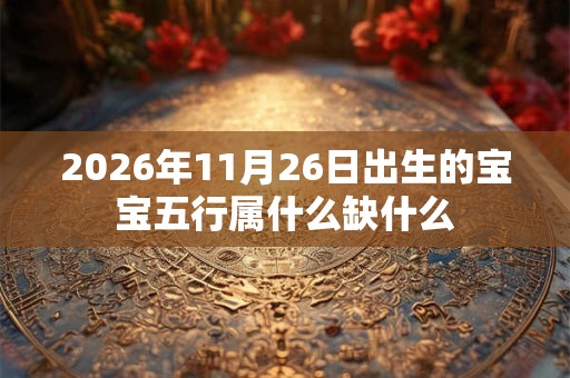 2026年11月26日出生的宝宝五行属什么缺什么
