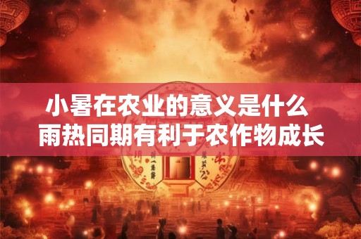 小暑在农业的意义是什么 雨热同期有利于农作物成长