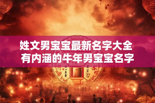姓文男宝宝最新名字大全 有内涵的牛年男宝宝名字