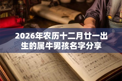2026年农历十二月廿一出生的属牛男孩名字分享