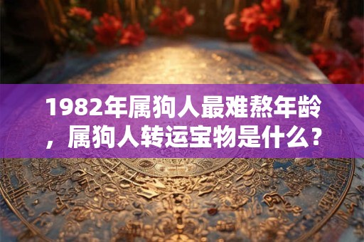 1982年属狗人最难熬年龄,属狗人转运宝物是什么? 1982年属狗人最难熬年龄,属狗人转运宝物是什么?