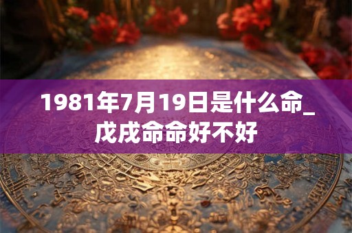 1981年7月19日是什么命_戊戌命命好不好