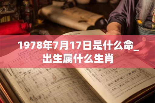 1978年7月17日是什么命_出生属什么生肖