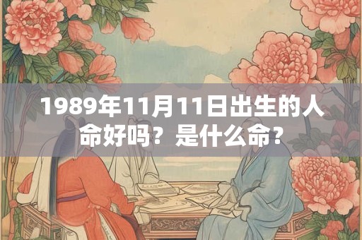 1989年11月11日出生的人命好吗？是什么命？