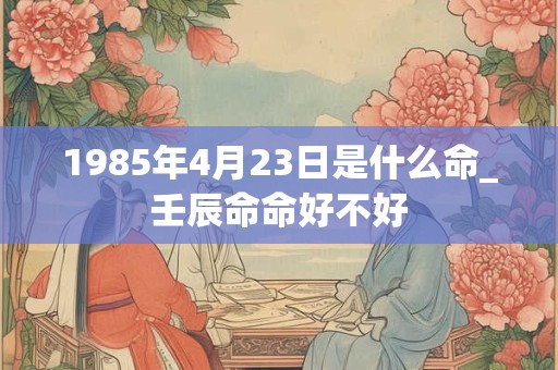 1985年4月23日是什么命_壬辰命命好不好