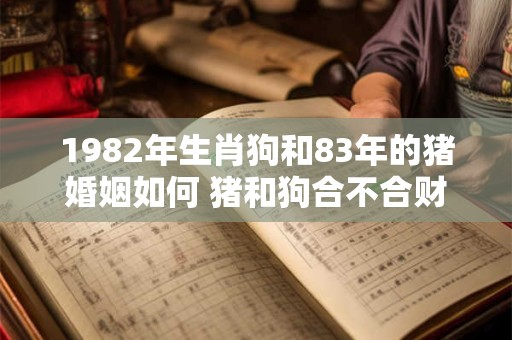 1982年生肖狗和83年的猪婚姻如何 猪和狗合不合财运