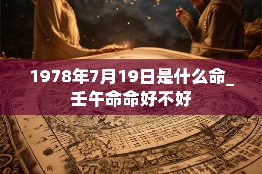 1978年7月19日是什么命_壬午命命好不好