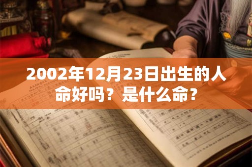 2002年12月23日出生的人命好吗？是什么命？