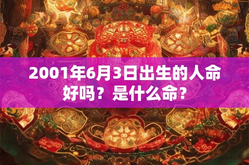 2001年6月3日出生的人命好吗？是什么命？