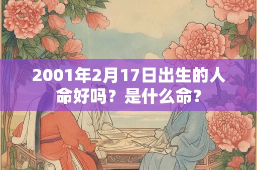 2001年2月17日出生的人命好吗？是什么命？