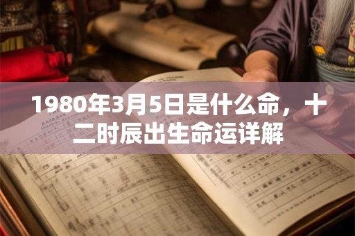 1980年3月5日是什么命，十二时辰出生命运详解