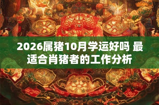 2026属猪10月学运好吗 最适合肖猪者的工作分析
