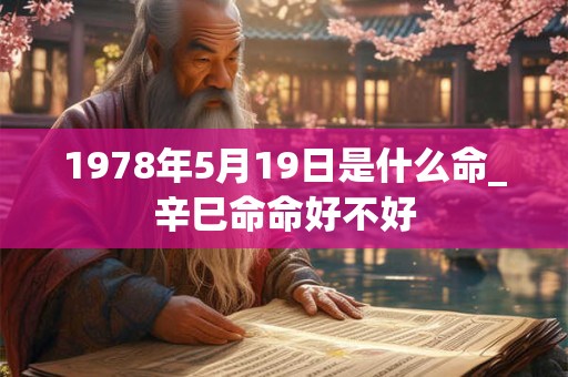 1978年5月19日是什么命_辛巳命命好不好 1978年5月19日是什么命_辛巳命命好不好