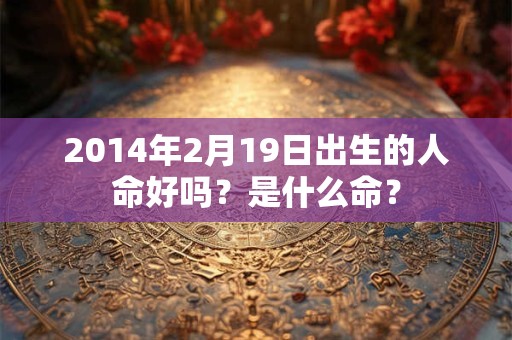 2014年2月19日出生的人命好吗？是什么命？