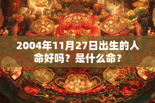 2004年11月27日出生的人命好吗？是什么命？