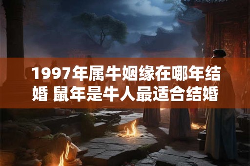 1997年属牛姻缘在哪年结婚 鼠年是牛人最适合结婚的一年