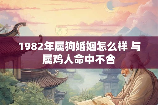 1982年属狗婚姻怎么样 与属鸡人命中不合