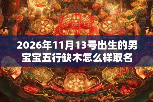 2026年11月13号出生的男宝宝五行缺木怎么样取名