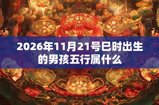 2026年11月21号巳时出生的男孩五行属什么