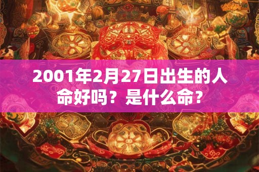 2001年2月27日出生的人命好吗？是什么命？