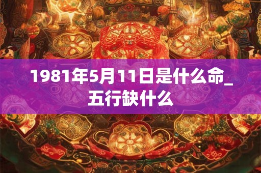 1981年5月11日是什么命_五行缺什么
