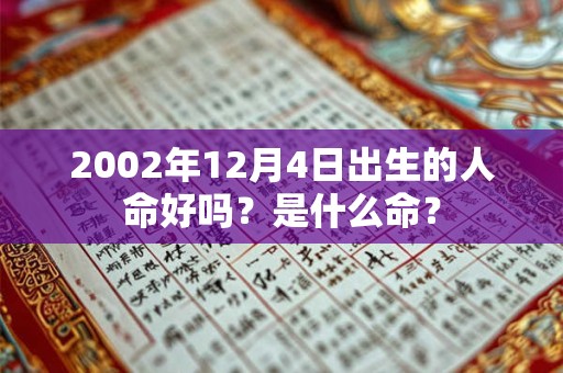 2002年12月4日出生的人命好吗？是什么命？