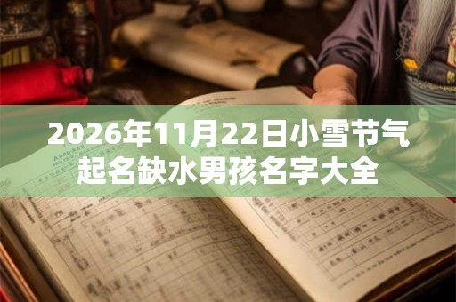 2026年11月22日小雪节气起名缺水男孩名字大全