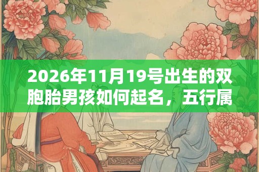 2026年11月19号出生的双胞胎男孩如何起名，五行属什么
