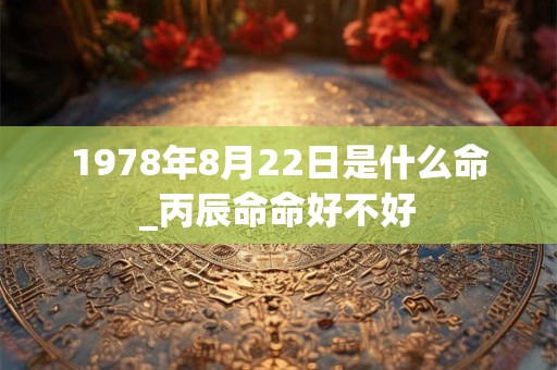 1978年8月22日是什么命_丙辰命命好不好