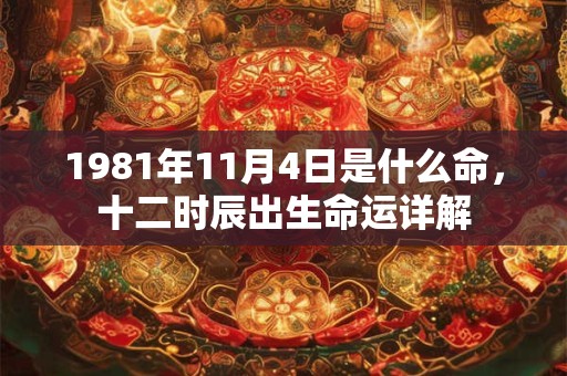1981年11月4日是什么命,十二时辰出生命运详解 1981年11月4日是什么命,十二时辰出生命运详解