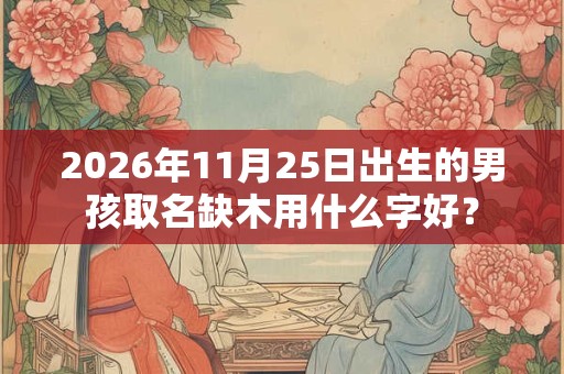2026年11月25日出生的男孩取名缺木用什么字好？