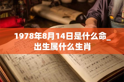 1978年8月14日是什么命_出生属什么生肖 1978年8月14日是什么命_出生属什么生肖