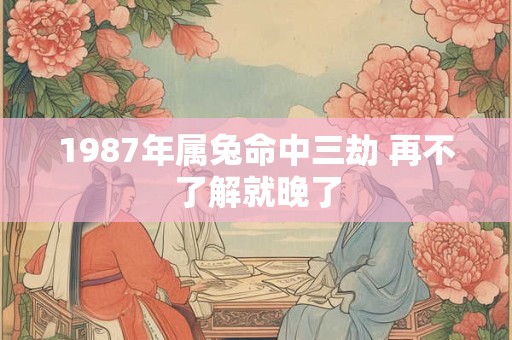 1987年属兔命中三劫 再不了解就晚了 1987年属兔命中三劫 再不了解就晚了