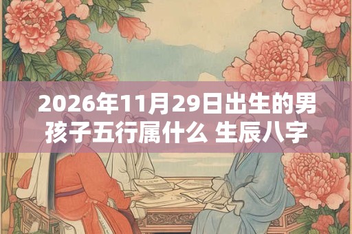 2026年11月29日出生的男孩子五行属什么 生辰八字取名 2026年11月29日出生的男孩子五行属什么 生辰八字取名