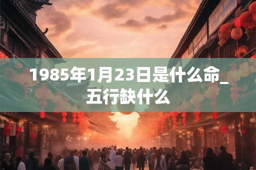 1985年1月23日是什么命_五行缺什么